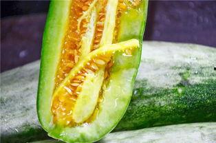 网红吃瓜赵露丝,网红吃瓜界的风云人物 第3张 网红吃瓜赵露丝,网红吃瓜界的风云人物 第3张